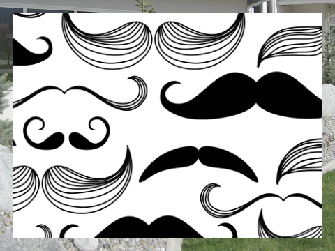 Black and White Mustaches